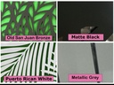 Color Pallete